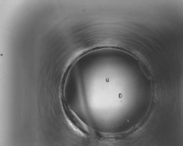 X0000077380942200610271942