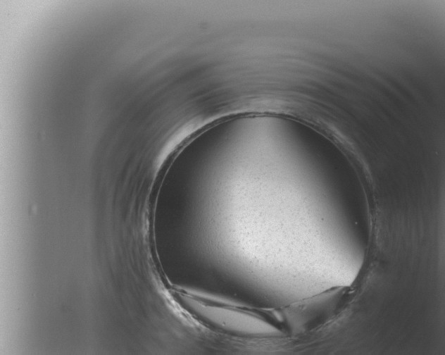 X0000077380944200610271942