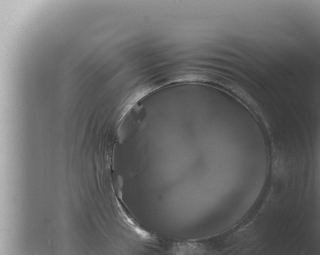 X0000077380945200610271942