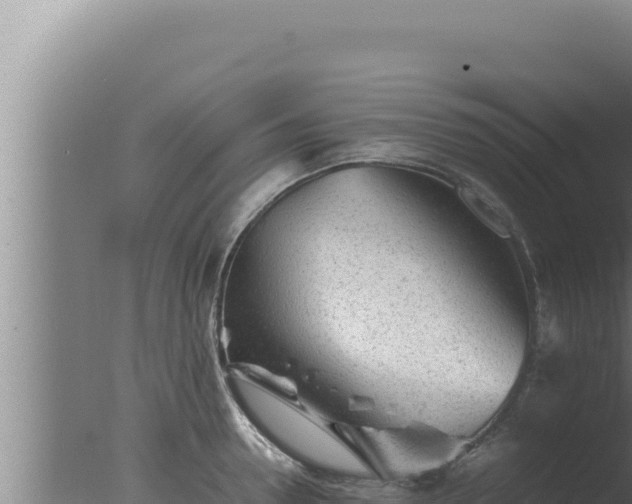 X0000077380946200610271942