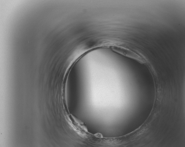 X0000077380948200610271942