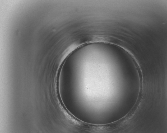 X0000077380949200610271942