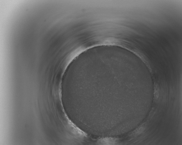 X0000077380950200610271942