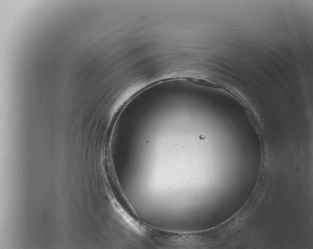 X0000077380952200610271942