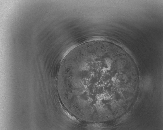 X0000077380953200610271942