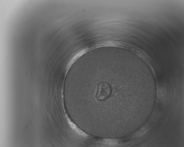 X0000077380954200610271942