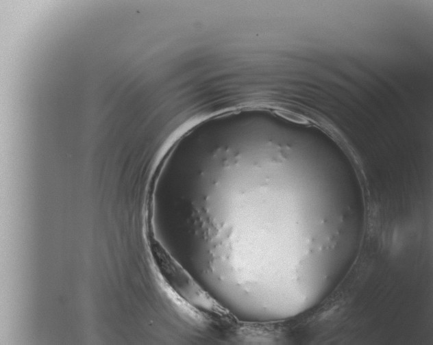 X0000077380955200610271942