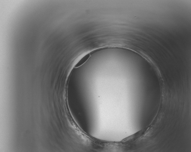 X0000077380956200610271942