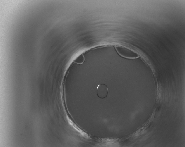 X0000077380958200610271943