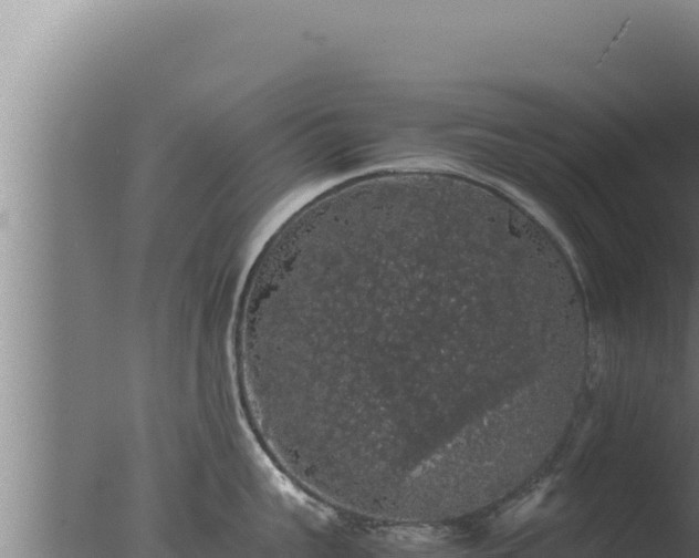 X0000077380959200610271943