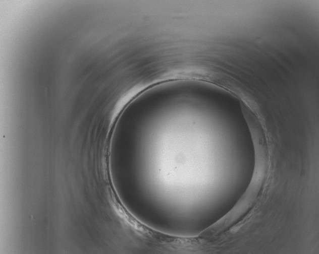 X0000077380960200610271943