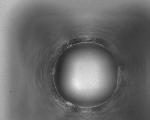 X0000077380961200610271942