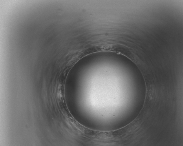 X0000077380962200610271942