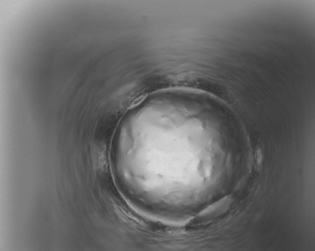 X0000077380963200610271942