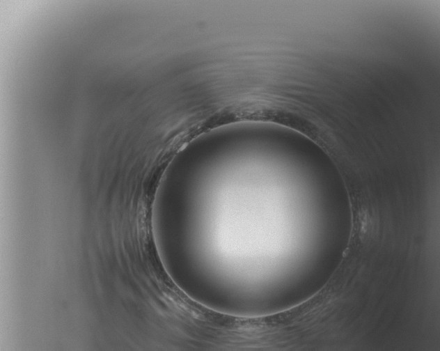 X0000077380964200610271942