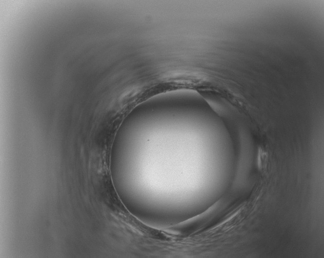 X0000077380965200610271942