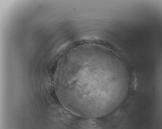 X0000077380966200610271942