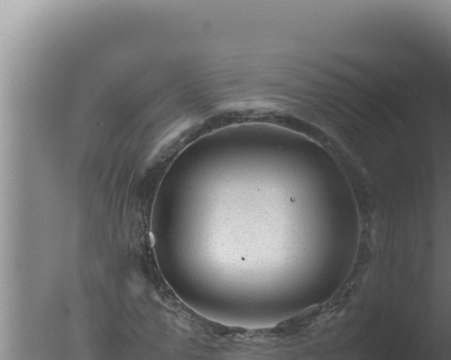 X0000077380967200610271942