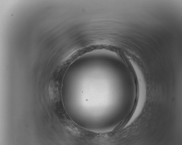 X0000077380968200610271942