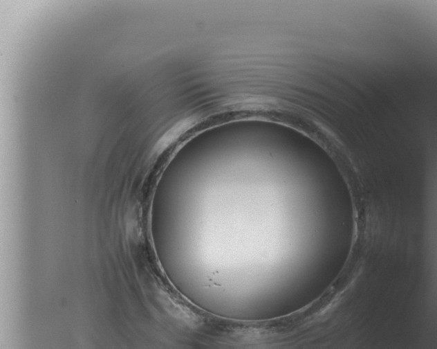 X0000077380970200610271942