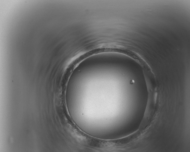 X0000077380971200610271942