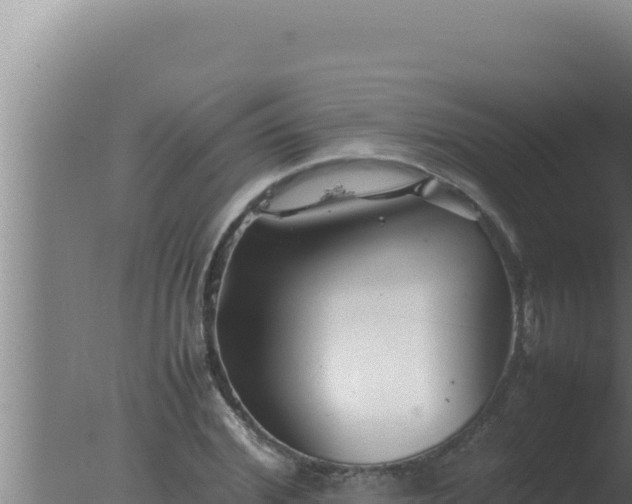 X0000077380972200610271942