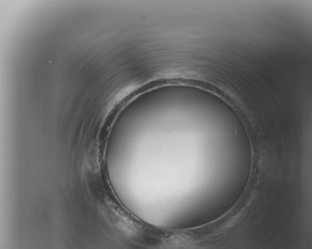 X0000077380974200610271942