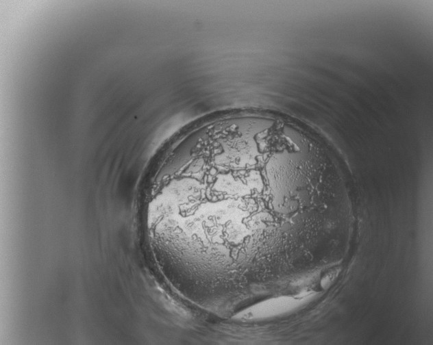 X0000077380975200610271942