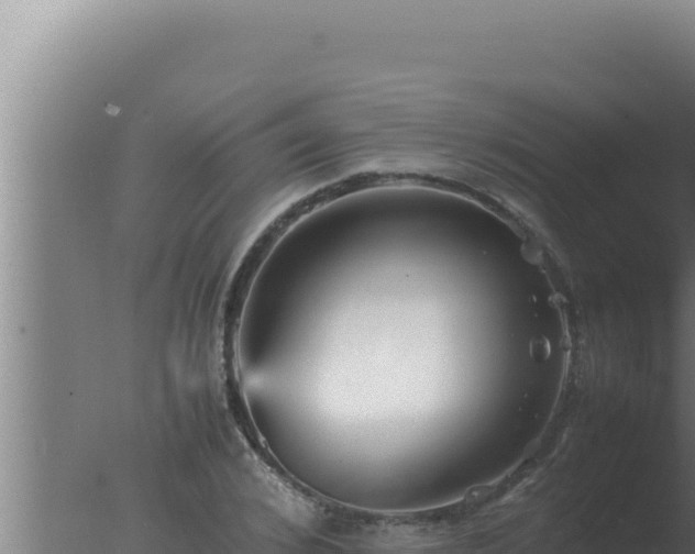 X0000077380976200610271942