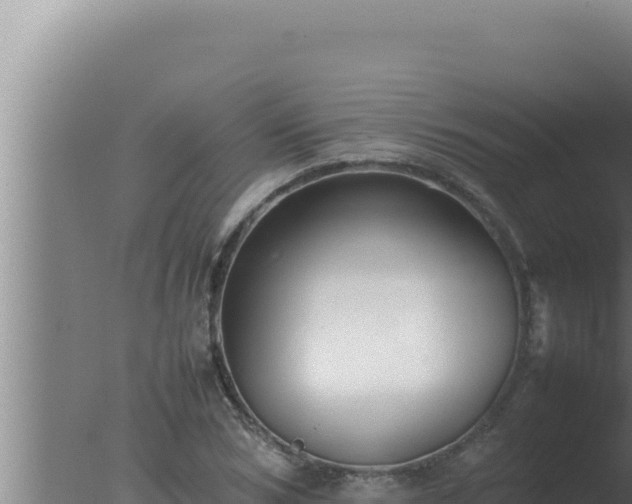 X0000077380978200610271941