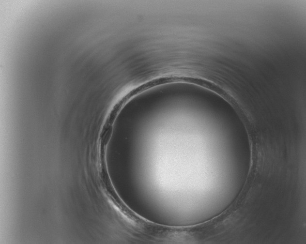 X0000077380982200610271941