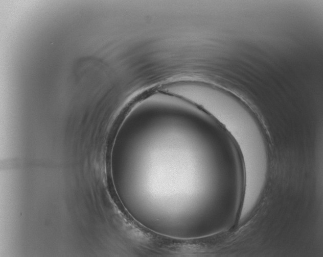 X0000077380984200610271941