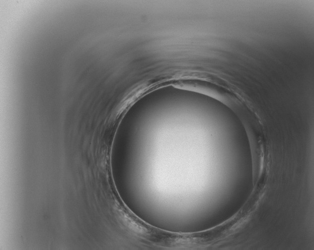 X0000077380985200610271941