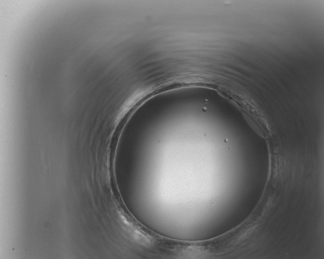 X0000077380986200610271941