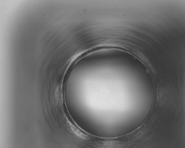 X0000077380988200610271941