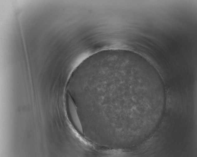 X0000077380990200610271941