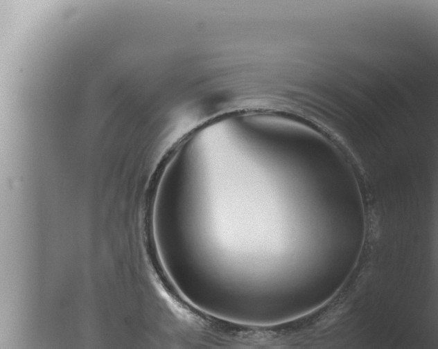 X0000077380991200610271941