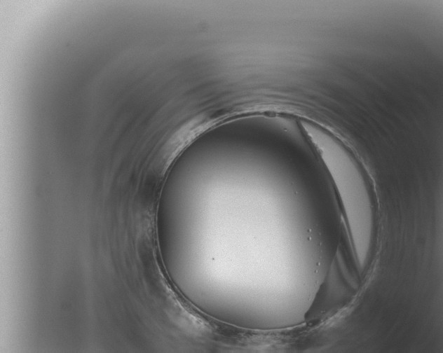 X0000077380993200610271941