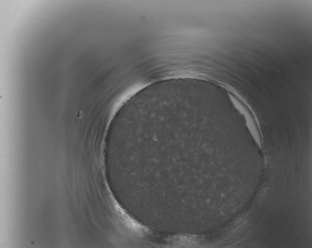 X0000077380995200610271941