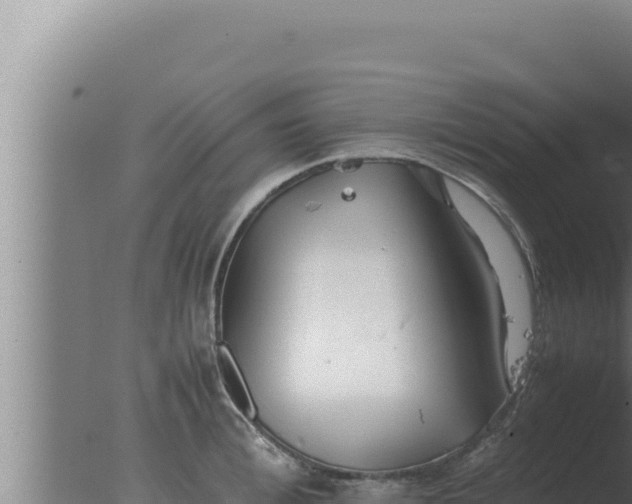 X0000077380996200610271941