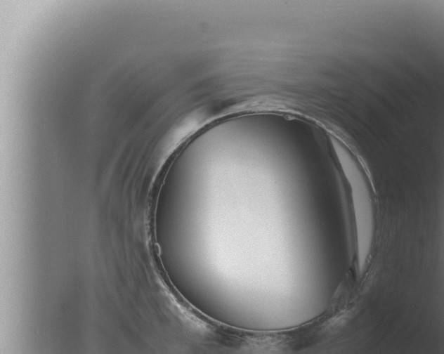 X0000077380997200610271941