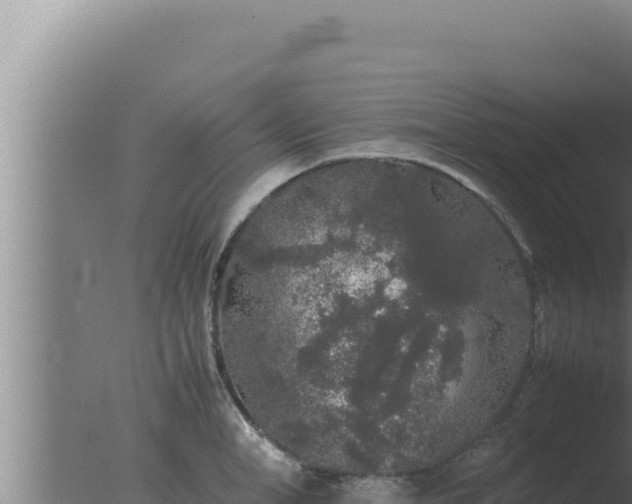 X0000077380998200610271941