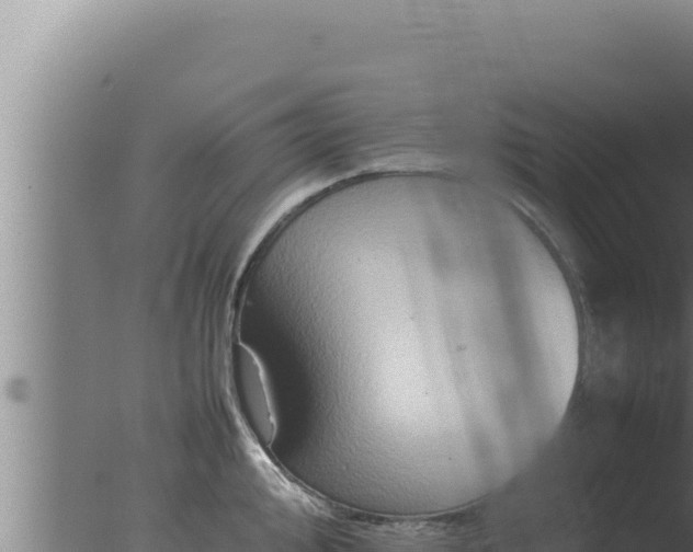 X0000077381000200610271941