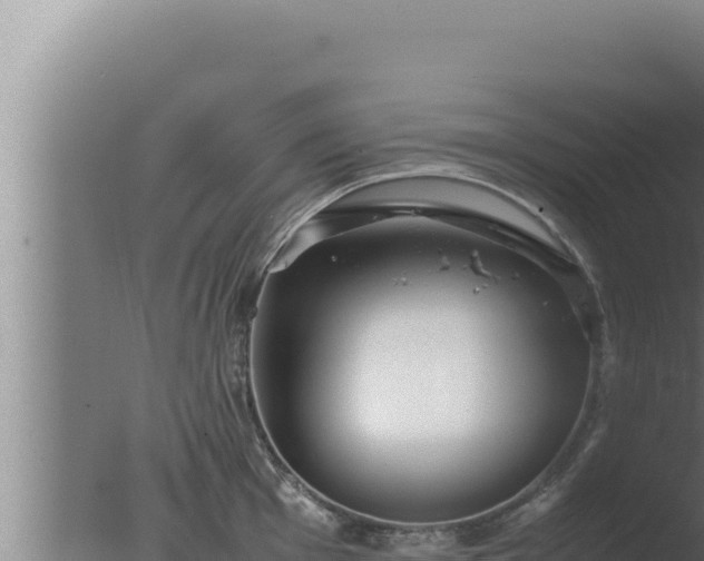 X0000077381001200610271941