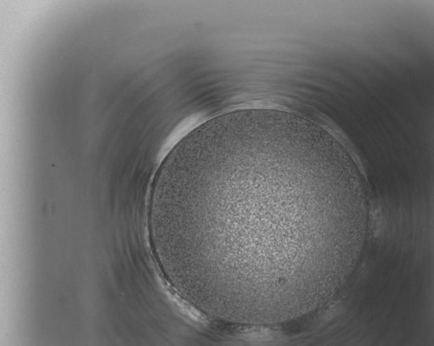 X0000077381002200610271941