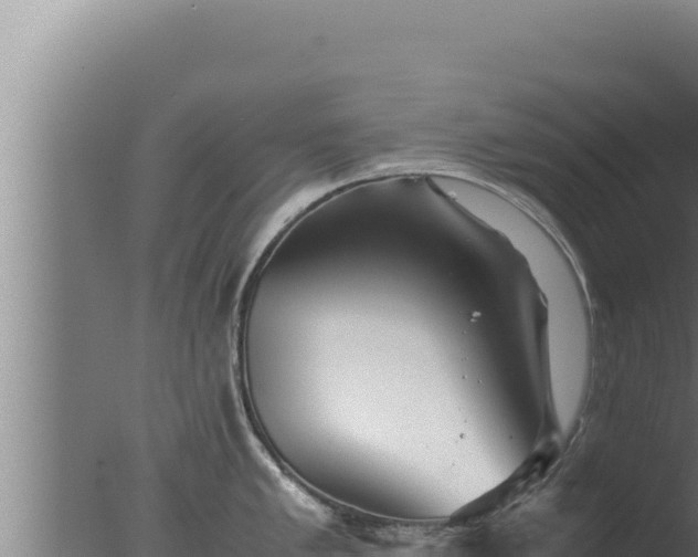 X0000077381005200610271941