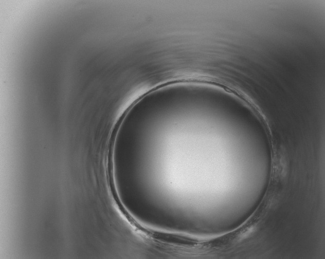 X0000077381007200610271941