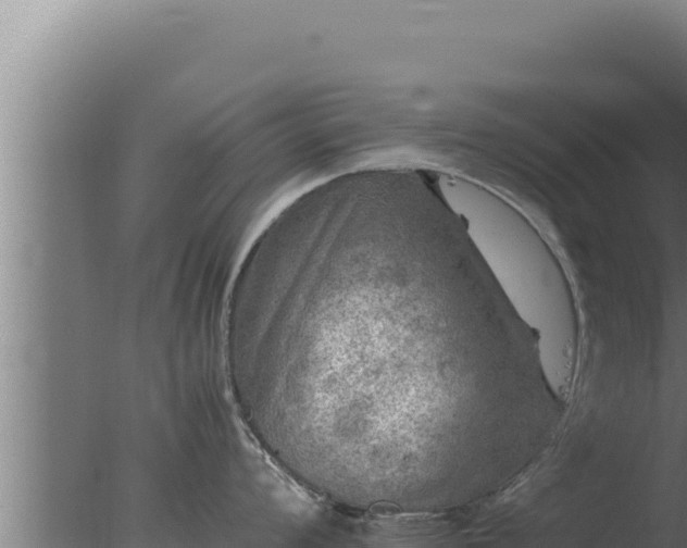 X0000077381008200610271941