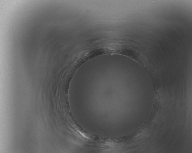 X0000077381009200610271940