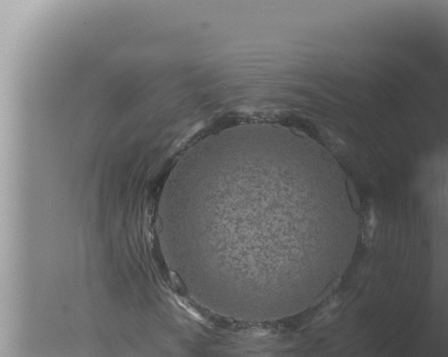 X0000077381010200610271940